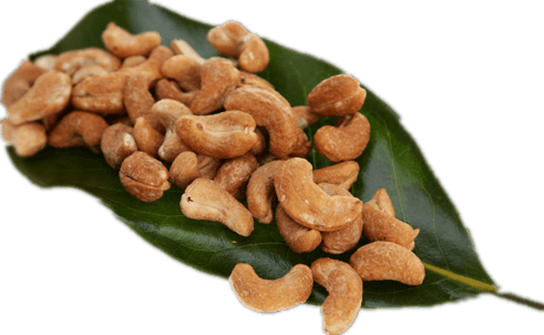 peeled cashews